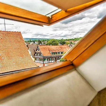 Hotel Krone Friesenheim (Baden-Wurttemberg)