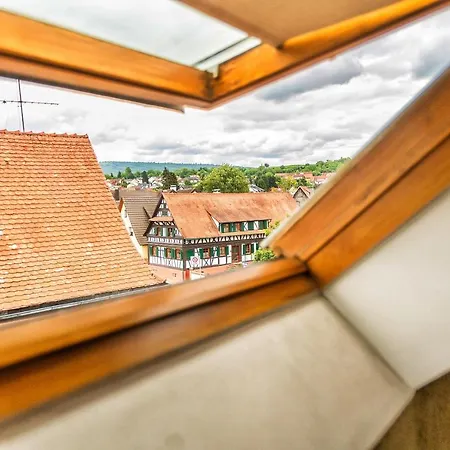 Krone Hotel Friesenheim (Baden-Wurttemberg)