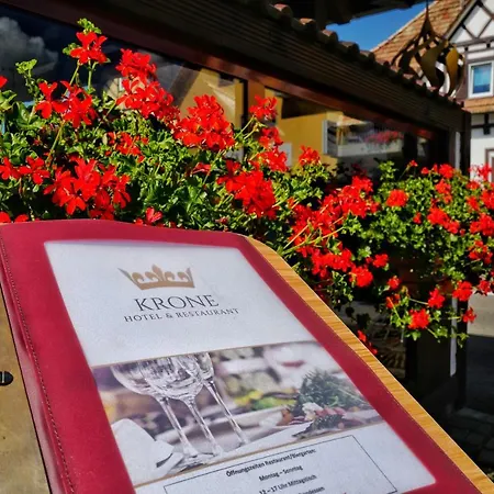 Krone Hotel 3*